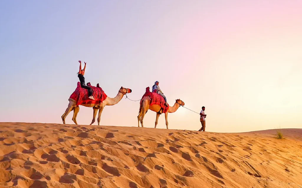 Desert Safari